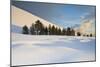 Italy, Sicily, Mt. Etna, Trees at the Base of Sartorius Crater after a Heavy Snowfall-Salvo Orlando-Mounted Photographic Print