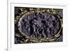 Italy, Sicily, Palermo Province, Monreale, Monreale Cathedral, Main Altar, Detail of Antependium-null-Framed Giclee Print