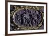 Italy, Sicily, Palermo Province, Monreale, Monreale Cathedral, Main Altar, Detail of Antependium-null-Framed Premium Giclee Print
