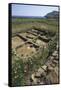 Italy, Sicily Region, Palermo Province, Ustica Island, Neolithic Village of Colombaia or Faraglioni-null-Framed Stretched Canvas