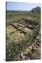 Italy, Sicily Region, Palermo Province, Ustica Island, Neolithic Village of Colombaia or Faraglioni-null-Stretched Canvas