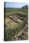 Italy, Sicily Region, Palermo Province, Ustica Island, Neolithic Village of Colombaia or Faraglioni-null-Stretched Canvas