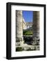 Italy, Sicily, Segesta. Greek temple columns.-Michele Molinari-Framed Photographic Print