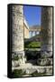 Italy, Sicily, Segesta. Greek temple columns.-Michele Molinari-Framed Stretched Canvas