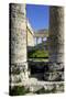 Italy, Sicily, Segesta. Greek temple columns.-Michele Molinari-Stretched Canvas