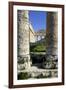 Italy, Sicily, Segesta. Greek temple columns.-Michele Molinari-Framed Premium Photographic Print