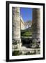 Italy, Sicily, Segesta. Greek temple columns.-Michele Molinari-Framed Premium Photographic Print