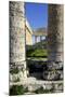 Italy, Sicily, Segesta. Greek temple columns.-Michele Molinari-Mounted Premium Photographic Print