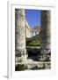 Italy, Sicily, Segesta. Greek temple columns.-Michele Molinari-Framed Photographic Print