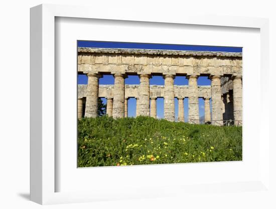 Italy, Sicily, Segesta. The Greek temple is made of 36 columns.-Michele Molinari-Framed Photographic Print