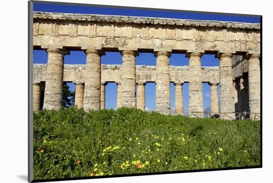 Italy, Sicily, Segesta. The Greek temple is made of 36 columns.-Michele Molinari-Mounted Photographic Print