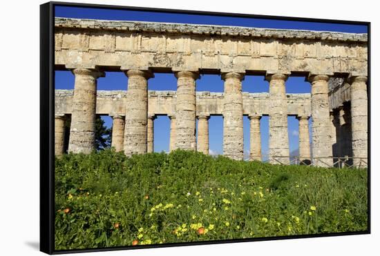 Italy, Sicily, Segesta. The Greek temple is made of 36 columns.-Michele Molinari-Framed Stretched Canvas