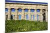 Italy, Sicily, Segesta. The Greek temple is made of 36 columns.-Michele Molinari-Mounted Photographic Print