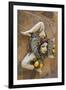 Italy, Sicily, Taormina, ceramic woman with lemons on wall.-Merrill Images-Framed Photographic Print