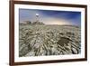 Italy, Sicily, the Lighthouse on the Cliffs of Capo Murro Di Porco, Plemmirio Natural Reserve-Alfonso Morabito-Framed Photographic Print