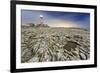Italy, Sicily, the Lighthouse on the Cliffs of Capo Murro Di Porco, Plemmirio Natural Reserve-Alfonso Morabito-Framed Photographic Print