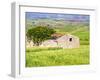 Italy, Sicily, Trapani. Alcamo countryside-Terry Eggers-Framed Photographic Print