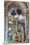 Italy, Siena, Siena Cathedral, Enea Silvio Piccolomini and Emperor Frederick III-Samuel Magal-Mounted Photographic Print