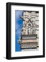 Italy, Siena, Siena Cathedral, Statues and Gargoyles-Samuel Magal-Framed Photographic Print