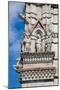 Italy, Siena, Siena Cathedral, Statues and Gargoyles-Samuel Magal-Mounted Photographic Print