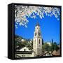 Italy, South Tirol, Merano, Church St Nicholas, Spring, (M)-Ludwig Mallaun-Framed Stretched Canvas