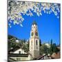 Italy, South Tirol, Merano, Church St Nicholas, Spring, (M)-Ludwig Mallaun-Mounted Photographic Print