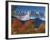 Italy, South Tirol, Villnš§tal, the Dolomites, Geislerspitzen, Trees, Autumn-Thonig-Framed Photographic Print
