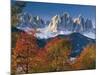 Italy, South Tirol, Villnš§tal, the Dolomites, Geislerspitzen, Trees, Autumn-Thonig-Mounted Photographic Print