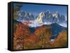 Italy, South Tirol, Villnš§tal, the Dolomites, Geislerspitzen, Trees, Autumn-Thonig-Framed Stretched Canvas
