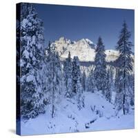 Italy, South Tyrol, Alto Adige, Monte Cristallo, Snow, Spruces-Rainer Mirau-Stretched Canvas