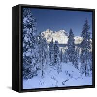 Italy, South Tyrol, Alto Adige, Monte Cristallo, Snow, Spruces-Rainer Mirau-Framed Stretched Canvas