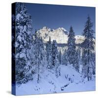 Italy, South Tyrol, Alto Adige, Monte Cristallo, Snow, Spruces-Rainer Mirau-Stretched Canvas