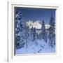 Italy, South Tyrol, Alto Adige, Monte Cristallo, Snow, Spruces-Rainer Mirau-Framed Photographic Print