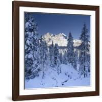 Italy, South Tyrol, Alto Adige, Monte Cristallo, Snow, Spruces-Rainer Mirau-Framed Photographic Print