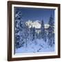 Italy, South Tyrol, Alto Adige, Monte Cristallo, Snow, Spruces-Rainer Mirau-Framed Photographic Print