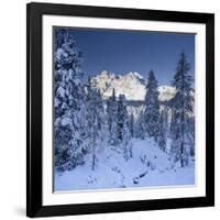 Italy, South Tyrol, Alto Adige, Monte Cristallo, Snow, Spruces-Rainer Mirau-Framed Photographic Print