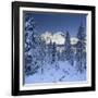 Italy, South Tyrol, Alto Adige, Monte Cristallo, Snow, Spruces-Rainer Mirau-Framed Photographic Print