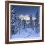 Italy, South Tyrol, Alto Adige, Monte Cristallo, Snow, Spruces-Rainer Mirau-Framed Photographic Print