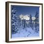 Italy, South Tyrol, Alto Adige, Monte Cristallo, Snow, Spruces-Rainer Mirau-Framed Photographic Print