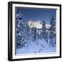 Italy, South Tyrol, Alto Adige, Monte Cristallo, Snow, Spruces-Rainer Mirau-Framed Photographic Print