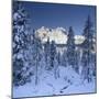 Italy, South Tyrol, Alto Adige, Monte Cristallo, Snow, Spruces-Rainer Mirau-Mounted Photographic Print