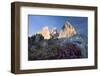 Italy, South-Tyrol, Langkofel-Group, Mountain-Massif, Mountain-Flowers, Sunlight-Rainer Mirau-Framed Photographic Print