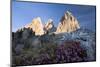 Italy, South-Tyrol, Langkofel-Group, Mountain-Massif, Mountain-Flowers, Sunlight-Rainer Mirau-Mounted Photographic Print