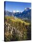 Italy, South Tyrol, 'Mittelberg Am Ritten', Schlern, Earth Pillars, Autumn-Thonig-Stretched Canvas