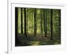 Italy, South Tyrol, Mittelberg, Earth Pillars-Thonig-Framed Photographic Print