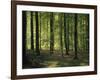 Italy, South Tyrol, Mittelberg, Earth Pillars-Thonig-Framed Photographic Print