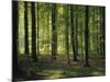 Italy, South Tyrol, Mittelberg, Earth Pillars-Thonig-Mounted Photographic Print