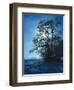 Italy, South Tyrol, Mittelberg, Schlern, Autumn-Thonig-Framed Photographic Print