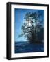 Italy, South Tyrol, Mittelberg, Schlern, Autumn-Thonig-Framed Photographic Print