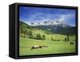 Italy, South Tyrol, Rose Garden Area, Nova Levante, Geiger Alm Rosengarten Group-Udo Siebig-Framed Stretched Canvas